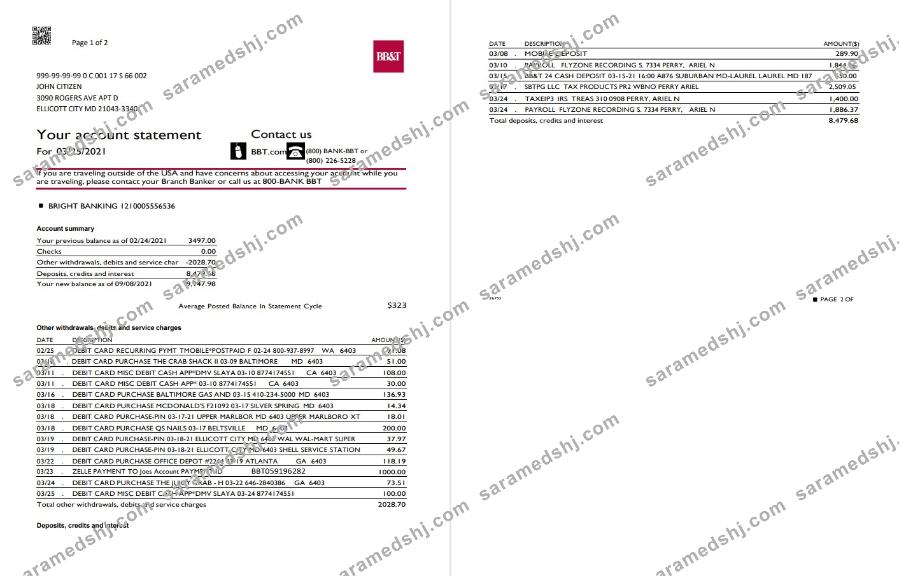 USA North Carolina BB&T Corp. bank statement template in Word and PDF format (2 pages)